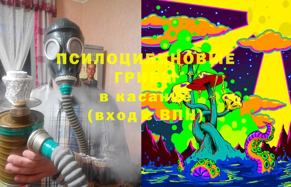 спиды Гусев